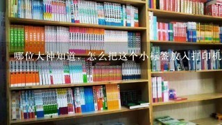 哪位大神知道，怎么把这个小标签放入打印机里打印吗？要写240张啊，实在不想手写呐！！