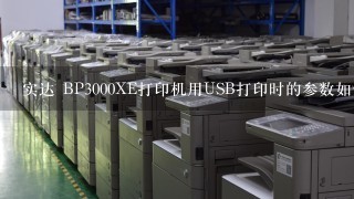 实达 BP3000XE打印机用USB打印时的参数如何设置？