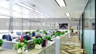 打印机raw和lpr区别是什么？