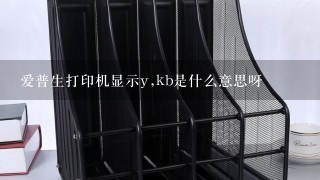 爱普生打印机显示y,kb是什么意思呀