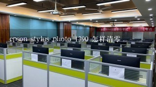 epson stylus photo 1390 怎样清零