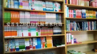 爱普生230打印机漏墨水问题