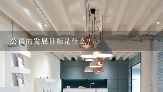 公司的发展目标是什么